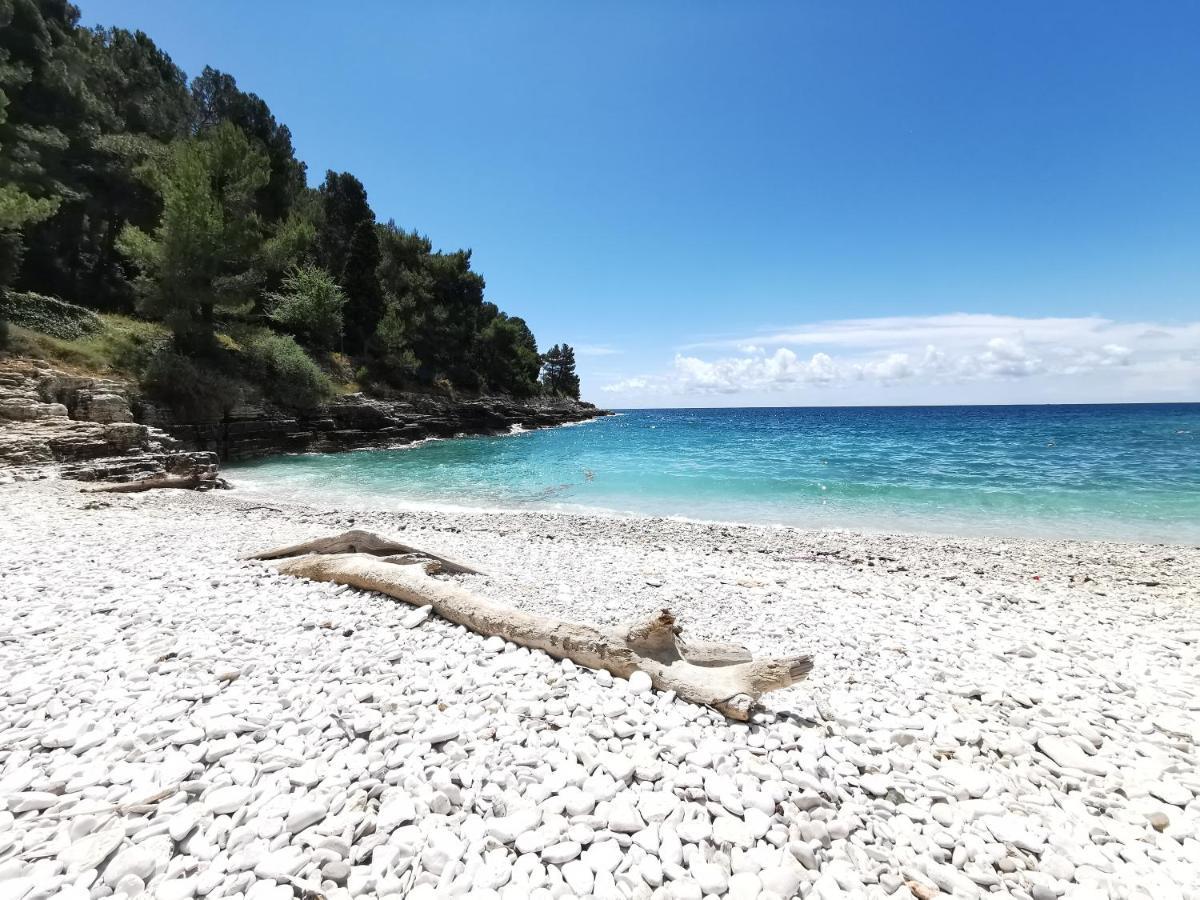 Five Bedroom House Near Sandy Beach Villa Major Μεντουλίν Εξωτερικό φωτογραφία